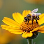 Avant d'acheter du linge nid d'abeille : inventaire et besoins à anticiper